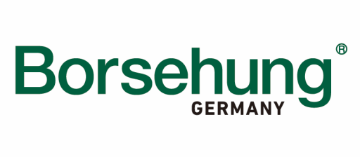 Borsehung Germany